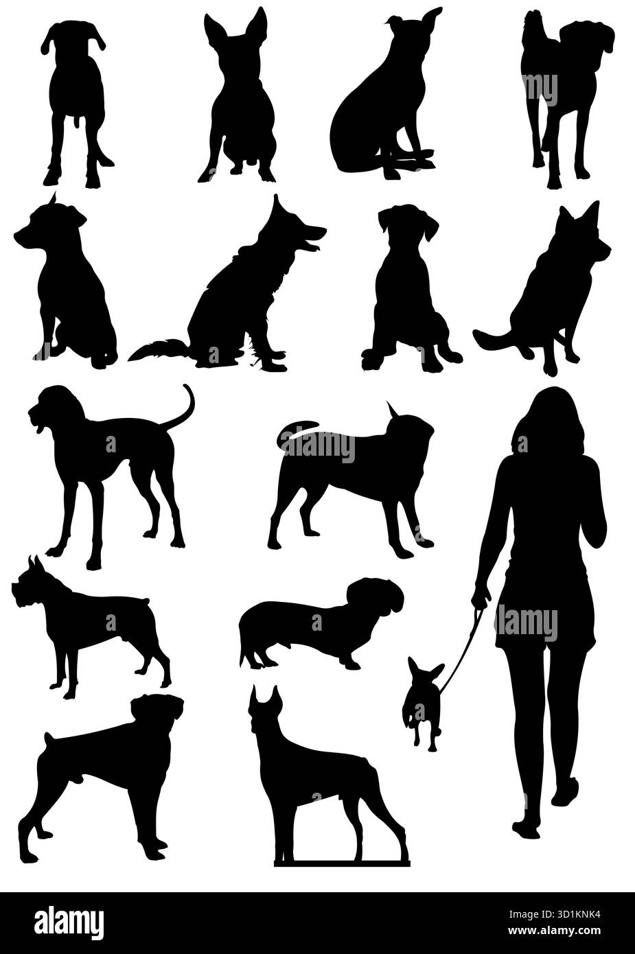 Hunderassen-Silhouetten-Set, das Hunde im Stehen, Sitzen und Gehen zeigt. Handgezeichnet Stock Vektor