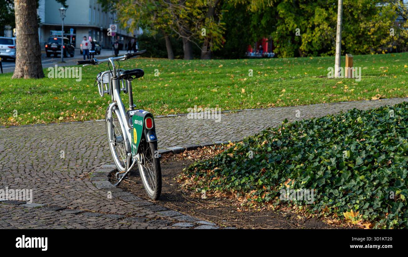 Fahrrad im Park Stockfoto