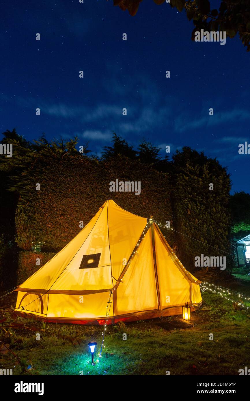 handyhlle s21fe Imbuia Galaxy S21 FE Handyhlle aus Holz