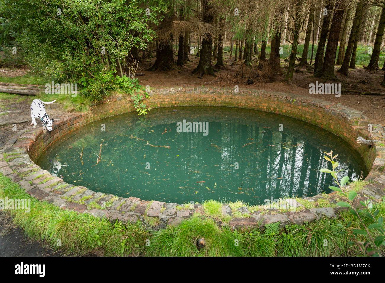 Der Torwood Blue Pool ist ein mysteriöses, künstliches, kreisförmiges Backsteingebäude mit blauem Wasser, 20 m Durchmesser und über 15 m Tiefe, mit einem Backsteintunnel Stockfoto