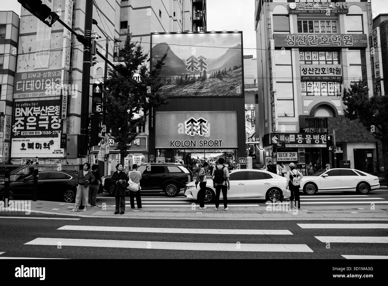 BUSAN, SÜDKOREA - 9. OKTOBER 2025 - Menschen überqueren eine geschäftige Straße in Busan mit Gebäuden und Autos Stockfoto