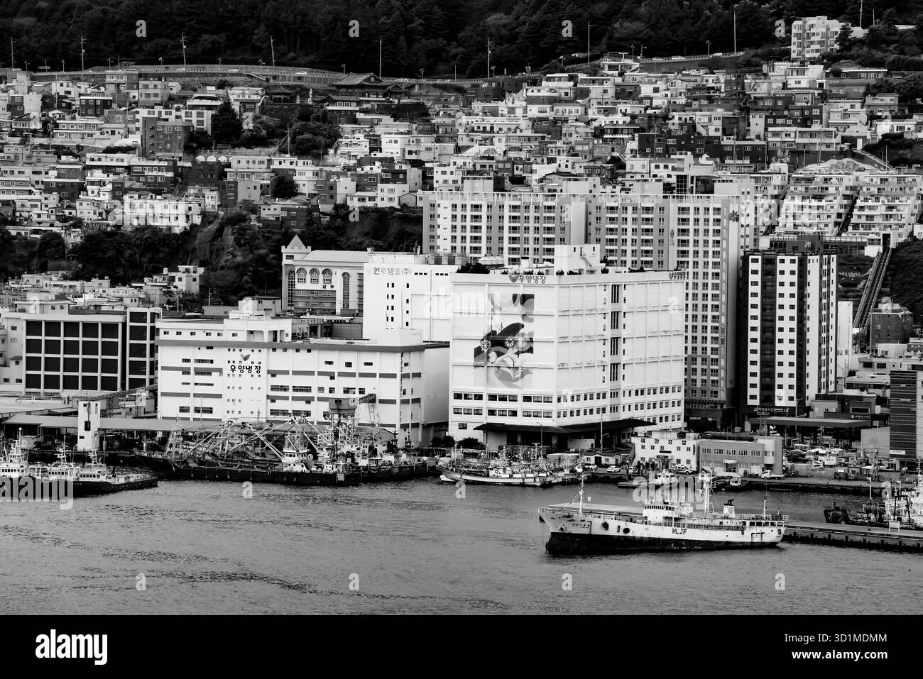 BUSAN, SÜDKOREA - 9. OKTOBER 2025 - Hafen von Busan mit Fischerbooten, modernen Gebäuden und Wohnhäusern in Schwarz-weiß am Hang Stockfoto