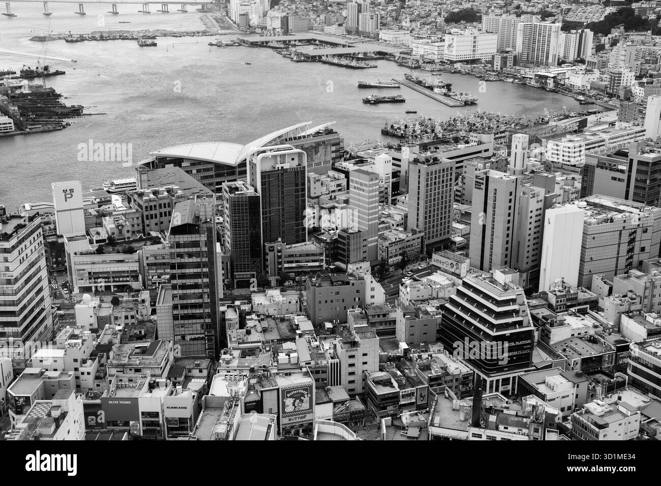 BUSAN, SÜDKOREA - 9. OKTOBER 2025 - Busans Stadtbild mit modernen Gebäuden und geschäftigem Hafen in Schwarz-weiß Stockfoto