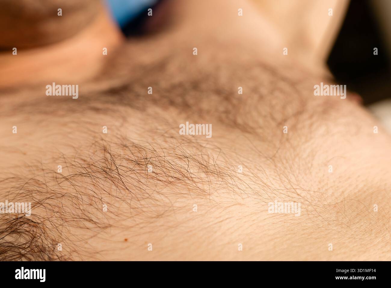 Diese Szene konzentriert sich auf die Nahaufnahme von Körperhaaren und zeigt die natürliche Textur. Es spiegelt die persönliche Pflege und den Schwerpunkt auf sanftem SK wider Stockfoto
