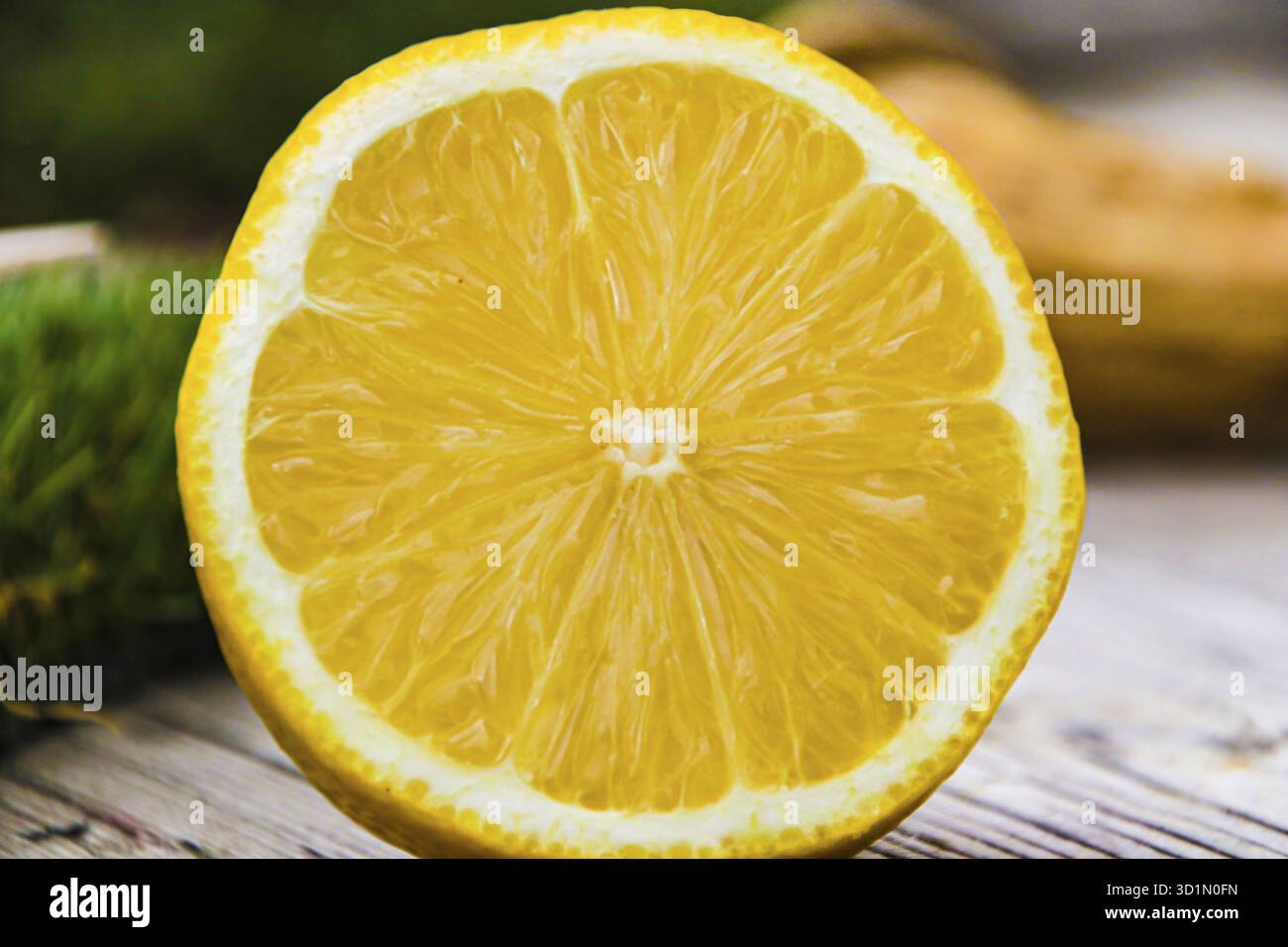Konzept für exotische tropische Früchte, Zitrusfrüchte und detaillierte Lebensmitteltexturen mit Vollbildaufnahme eines extremen Makrobildes aus nächster Nähe auf einem Stück lemo Stockfoto