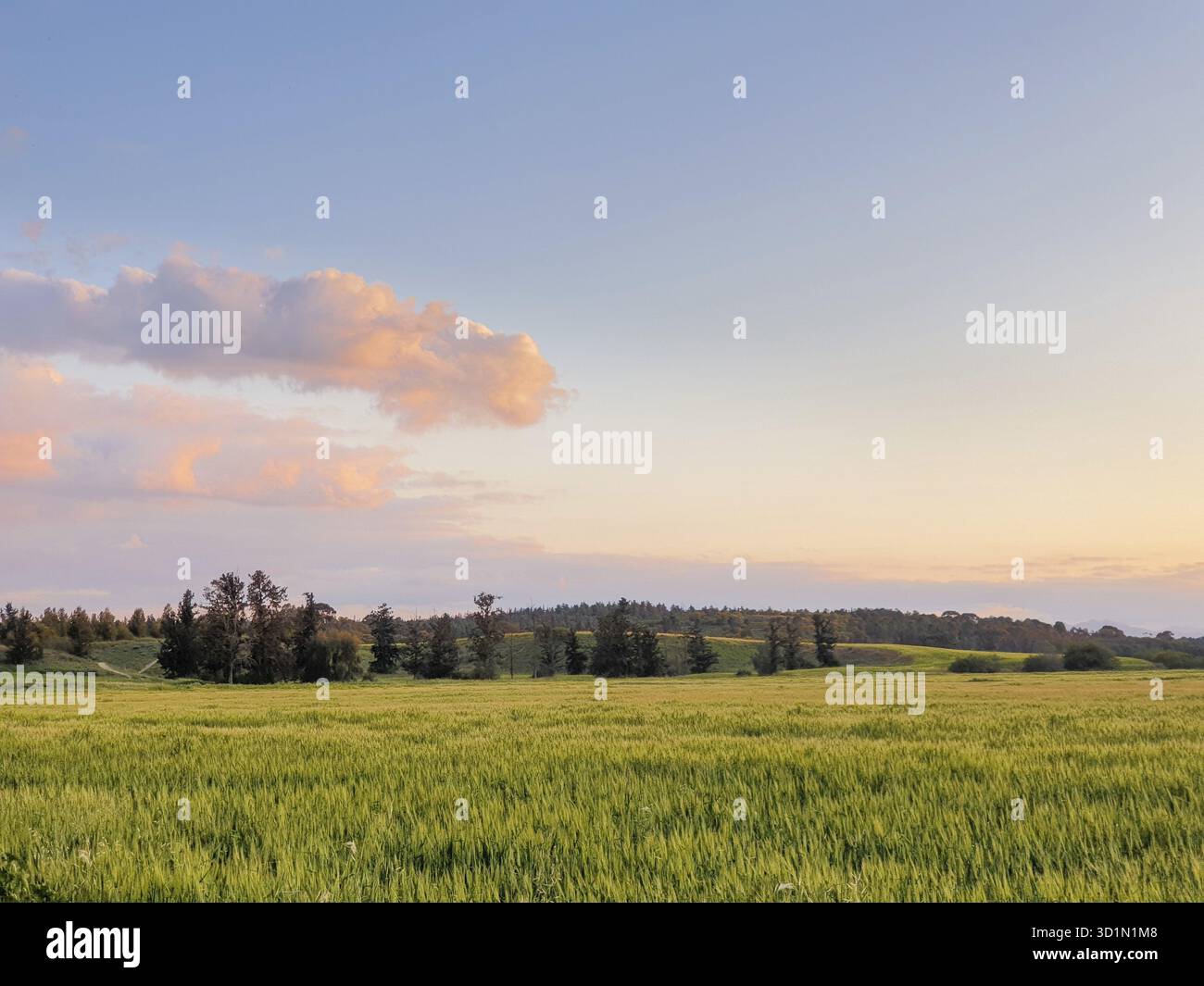 Wunderschön beleuchtete Wolkenlandschaft über dem Athalassa Park in Nikosia auf Zypern am späten Nachmittag Stockfoto