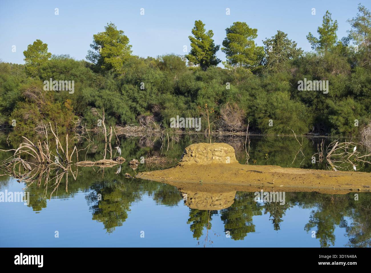 Panoramablick auf athalassa See in Zypern mit schönen Reflexionen der Himmel, Bäume und Vögel auf einem schönen sonnigen Morgen Stockfoto