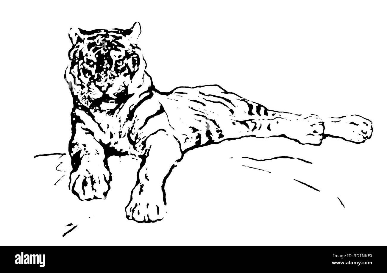 Liegetigerzeichnung und Anatomie von EDWIN NOBLE Publikationsdatum 1928 Herausgeber B. T. BATSFORD, LTD Stockfoto