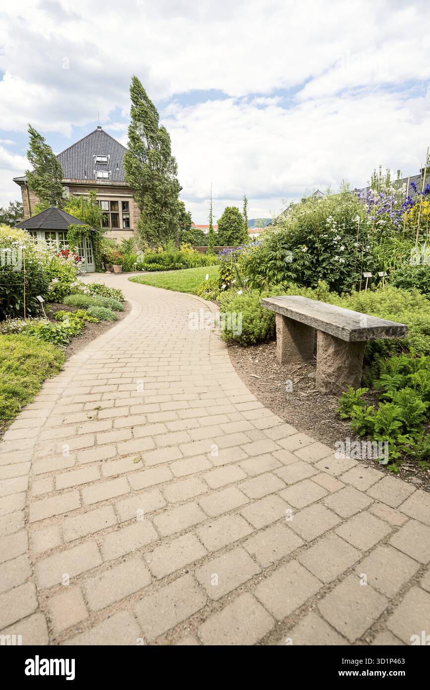 Pfad in einem Garten Stockfoto