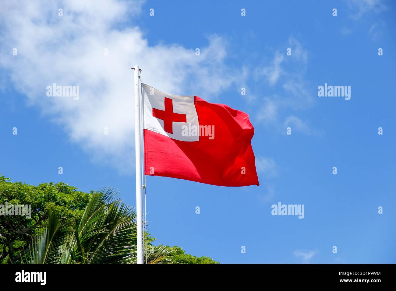 Nationalflagge von Tonga gegen blauen Himmel Stockfoto