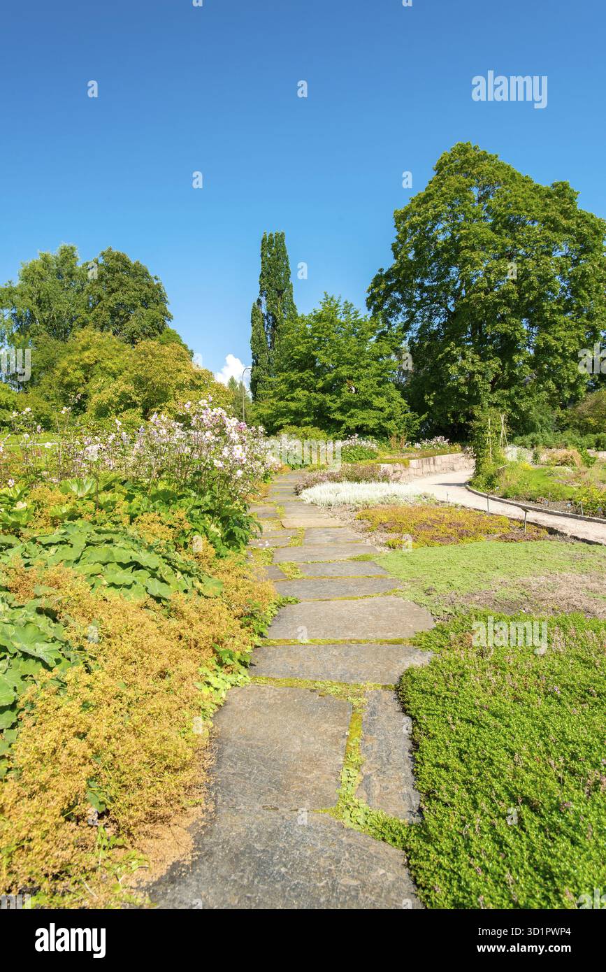 Landschaftsbau im Garten. Der Weg im Garten Stockfoto