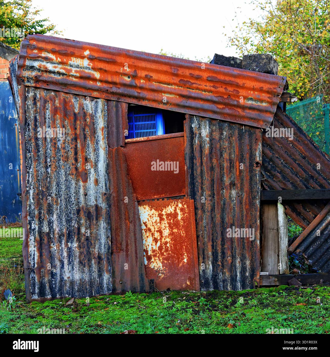 Eine blaue Kiste versteckt sich in einem Schuppen aus Wellblech, einem Blechschuppen in der Nähe von Burscough. Stockfoto