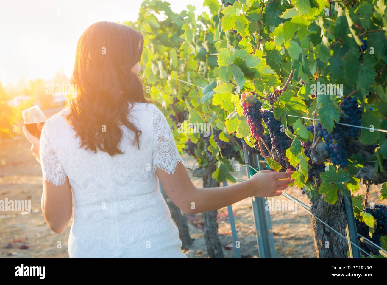 Junge Erwachsene Frau genießt eine Weinverkostung bei einem Spaziergang im Weinberg Stockfoto
