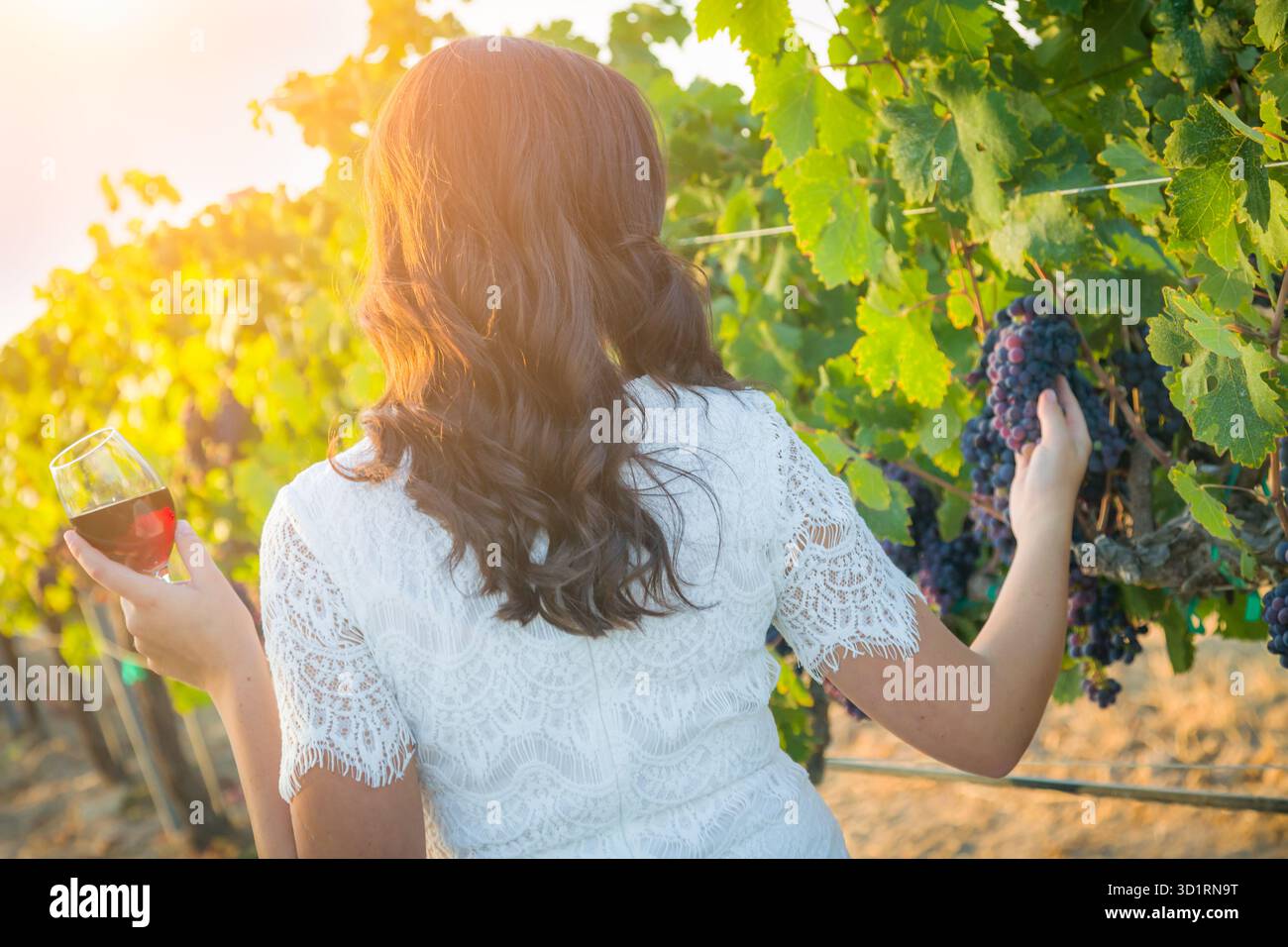 Junge Erwachsene Frau genießt eine Weinverkostung bei einem Spaziergang im Weinberg Stockfoto