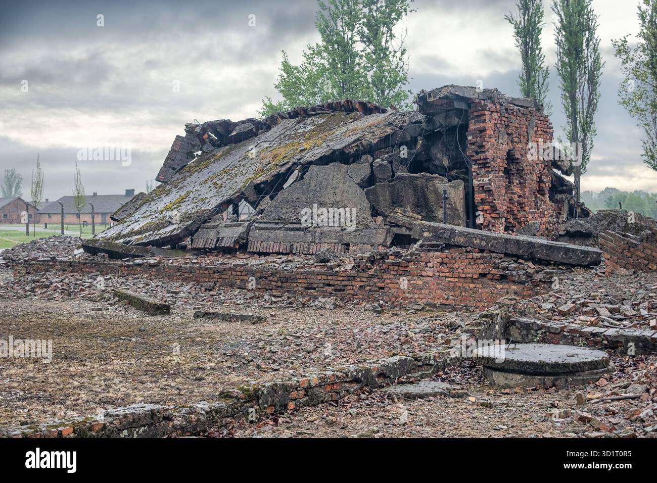 Zerstörte ehemalige Gaskammern im Konzentrationslager Auschwitz-Birkenau Stockfoto