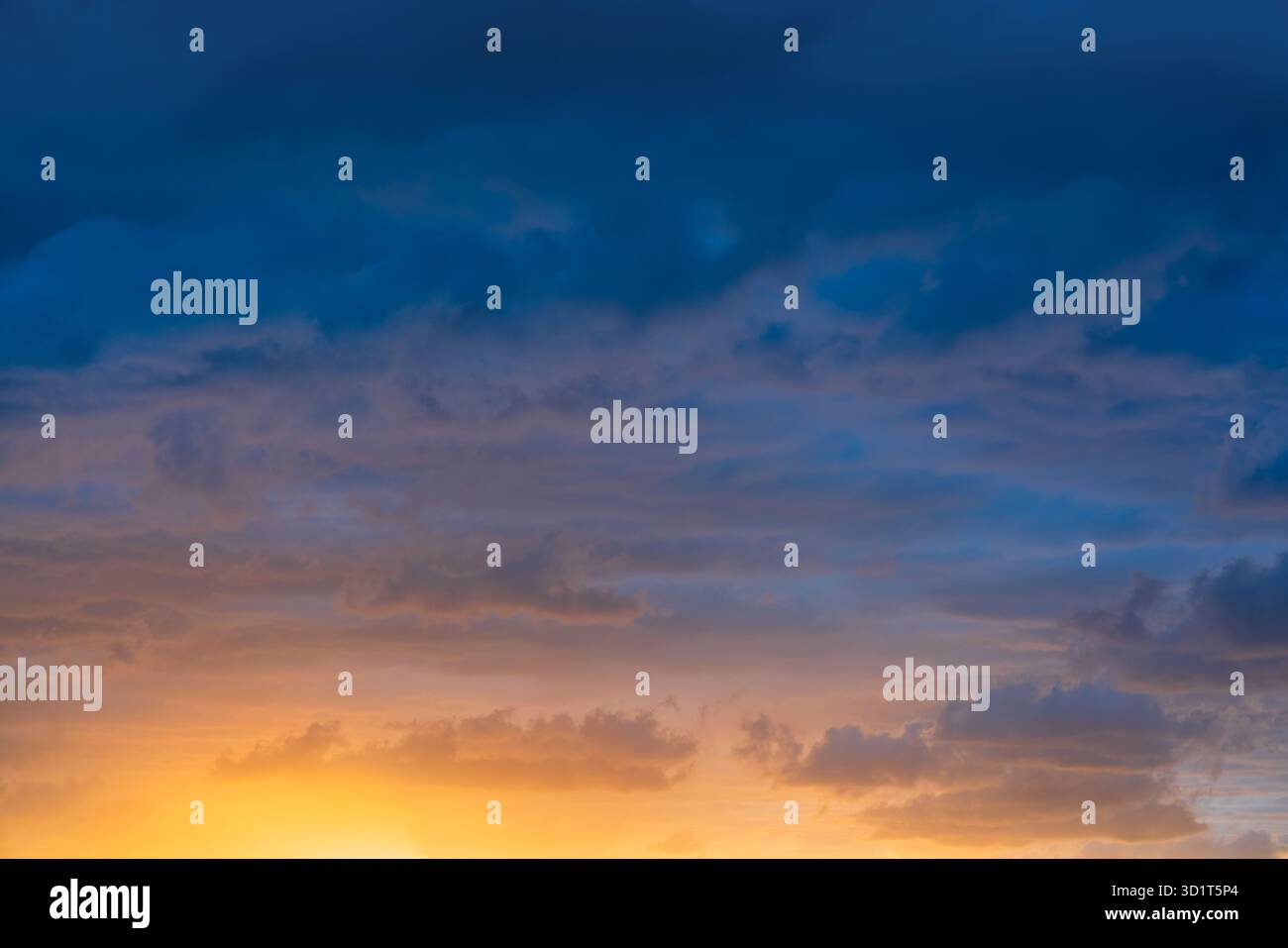 Lebendiger und dramatischer natürlicher Hintergrund mit tiefblauen und orangen Wolken während Sonnenuntergang oder Sonnenaufgang. Schöner Kontrast und intensiver farbverlauf Stockfoto