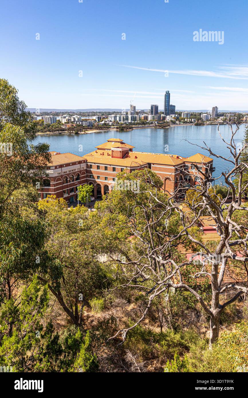 Die Old Swan Brewery Apartments neben dem Swan River aus Kings Park und Botanic Garden, Perth, Western Australia, WA, Australien Stockfoto
