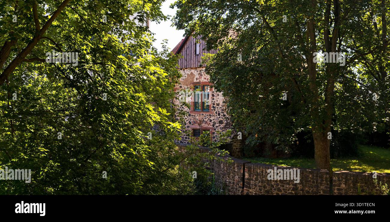 Blick durch Bäume zum Burgcafé, Schloss Hoechst, Frankfurt-Hoechst, Hessen, Deutschland, Europa Stockfoto