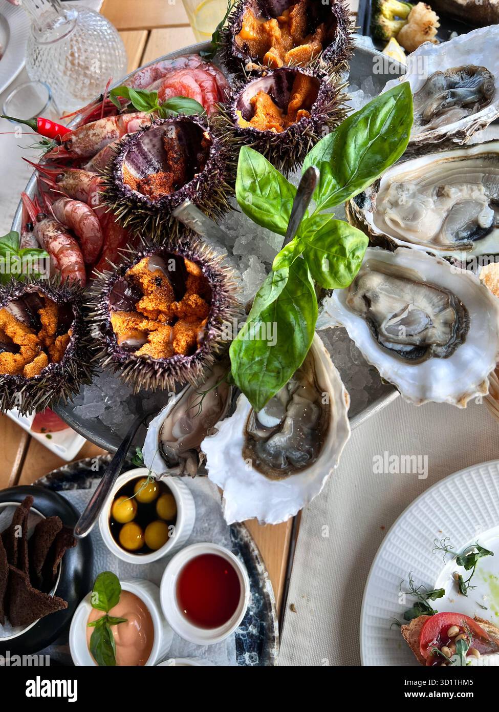 Verschiedene Meeresfrüchte. Platte mit verschiedenen Muscheln Stockfoto