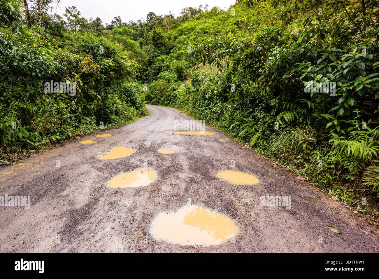 Schwer zu befahrende Landstraße in der Regenwaldregion Guatemalas Stockfoto