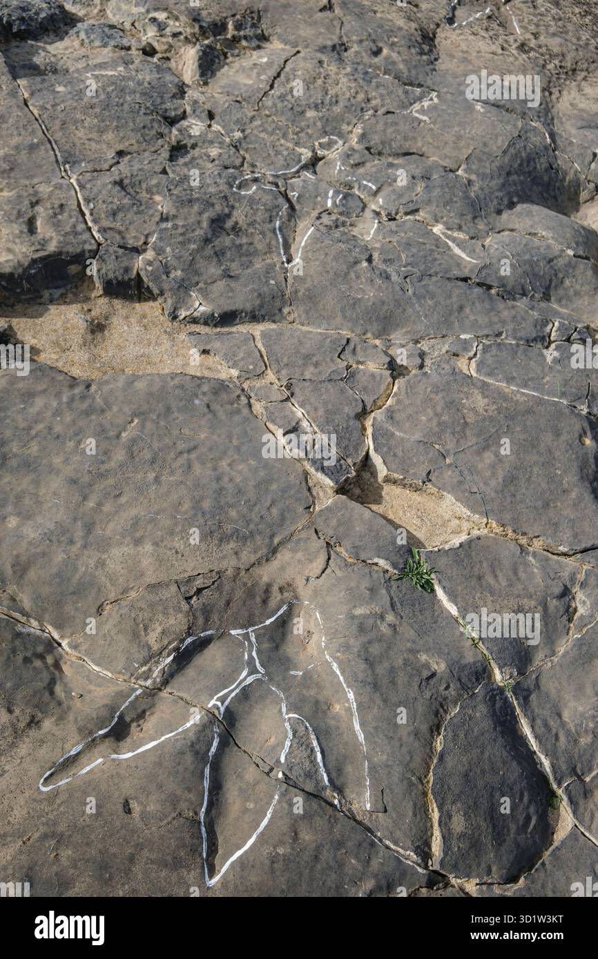 Dinosaurierspuren, die Peladillo-Ära-Ichnites-Deponie, Igea, La Rioja, Spanien, Europa Stockfoto