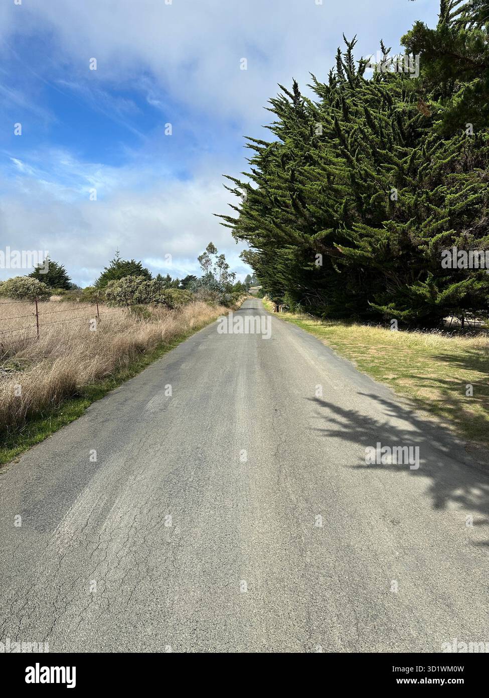 Coleman Valley Road im westlichen Sonoma County, Kalifornien. Stockfoto