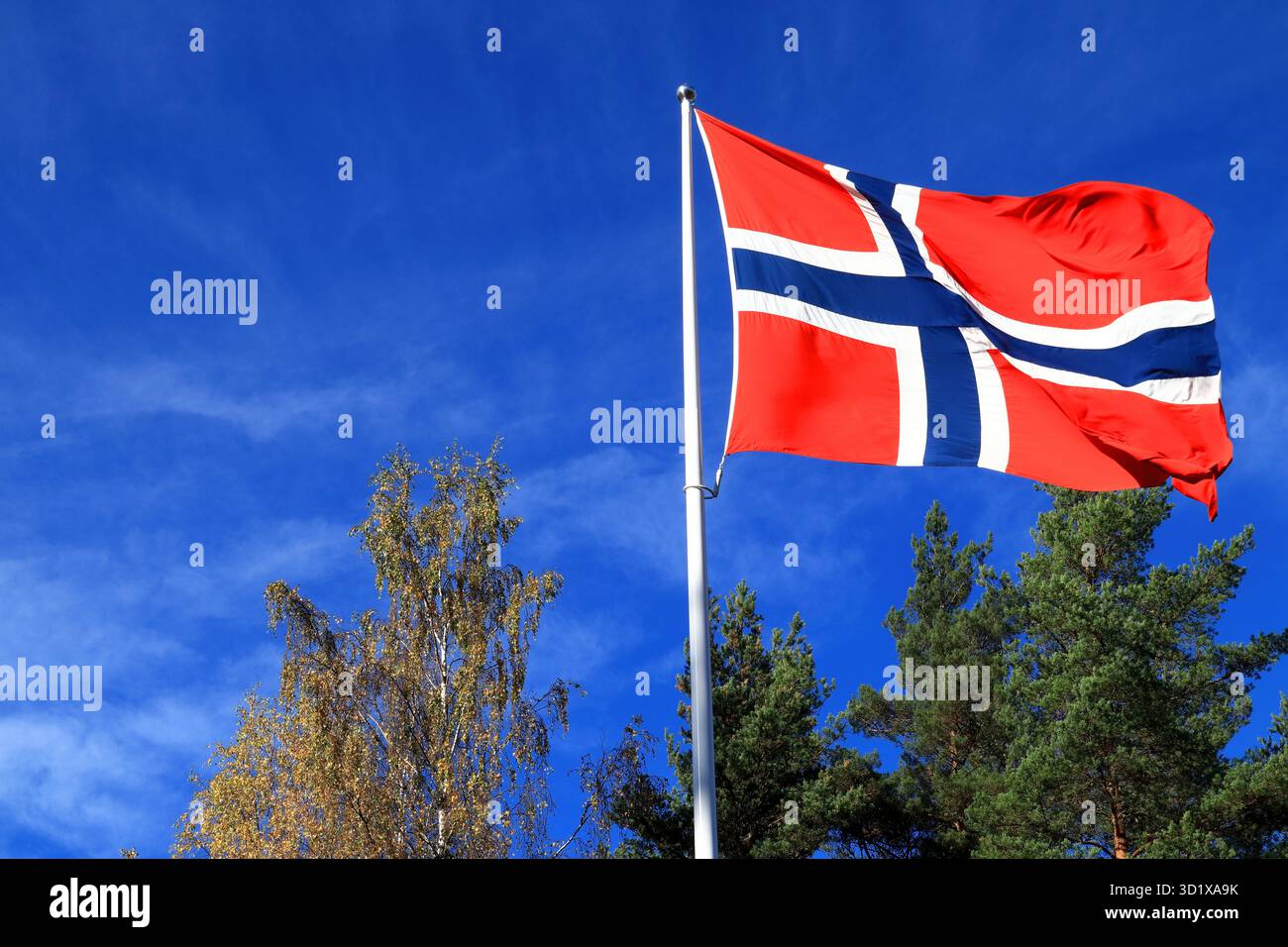 Flagge Norwegens. Schöner Herbsttag im Hintergrund. Glänzendes, farbenfrohes Foto. Stockfoto