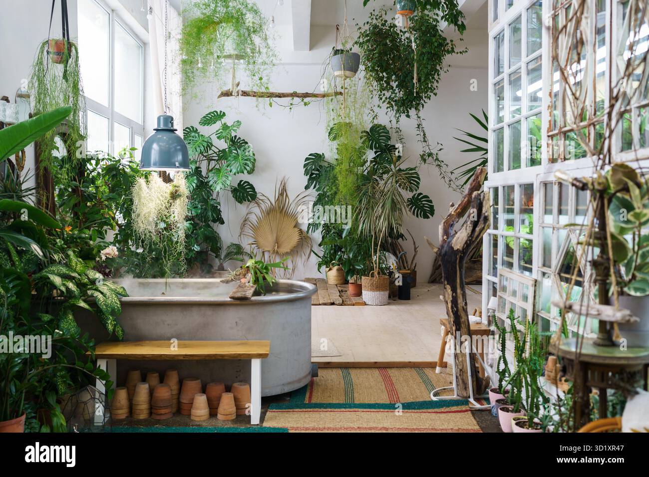 Hausgarten im Boho-Stil. Skandinavische Innenarchitektur des Winterinnengartens mit Zimmerpflanzen Stockfoto