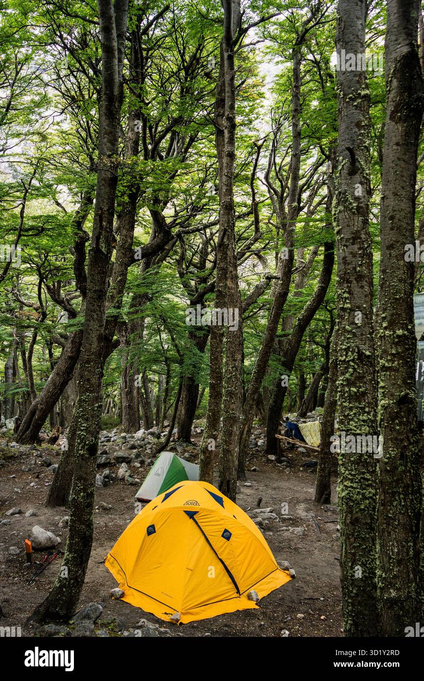 Camp of the Towers in W Trekking, Ascencio Valley, Torres del Paine Nationalpark, National System of Protected Wild Areas, Pata Stockfoto