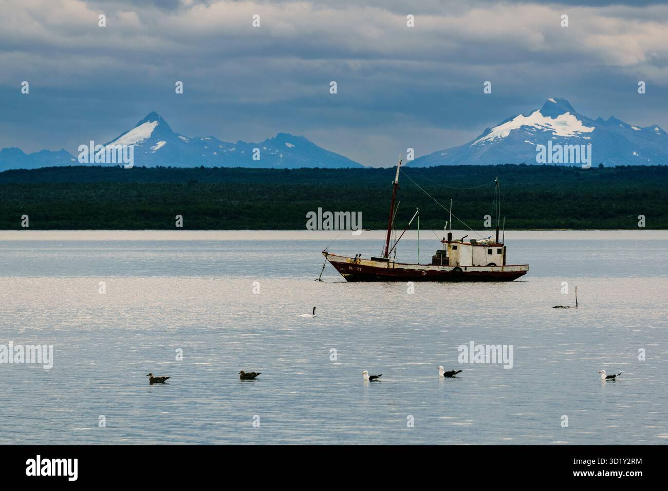 Puerto Natales, Region Magallanes, chilenische Antarktis, Patagonien, Republik Chile, Südamerika Stockfoto