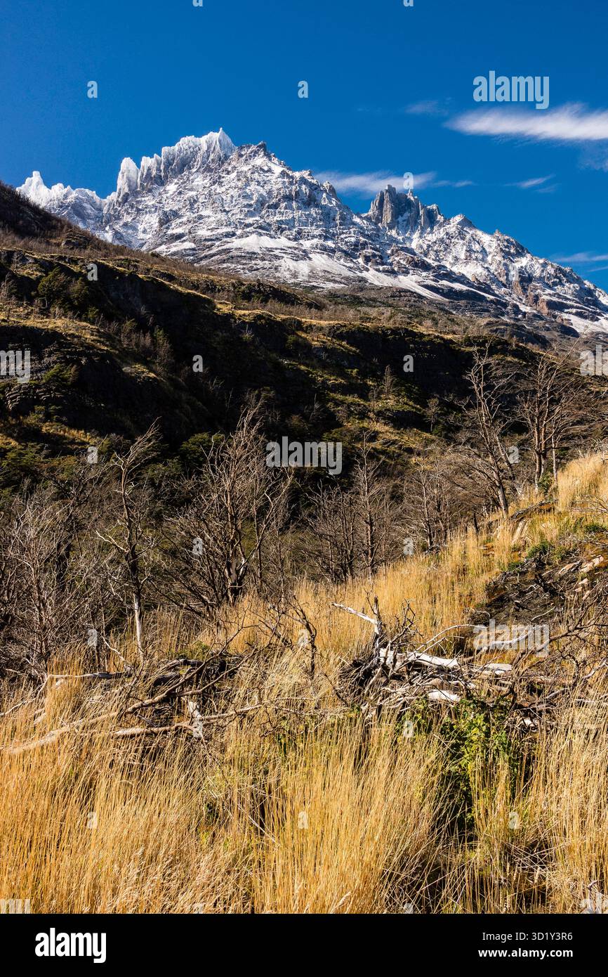 Punta Bariloche und Cerro Paine Grande, Trekking W, Torres del Paine Nationalpark, National System of Protected Wild Areas of t Stockfoto