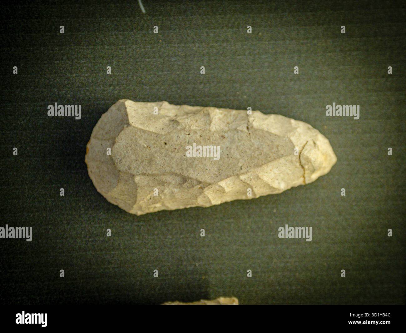 Schaber auf retuschiertem Blatt, Höhle El Polvorín, Karrantza, Arkeologi Museoa, museo aqueologico, Bilbao, Bizkaia, Pais Vasco, Spanien Stockfoto