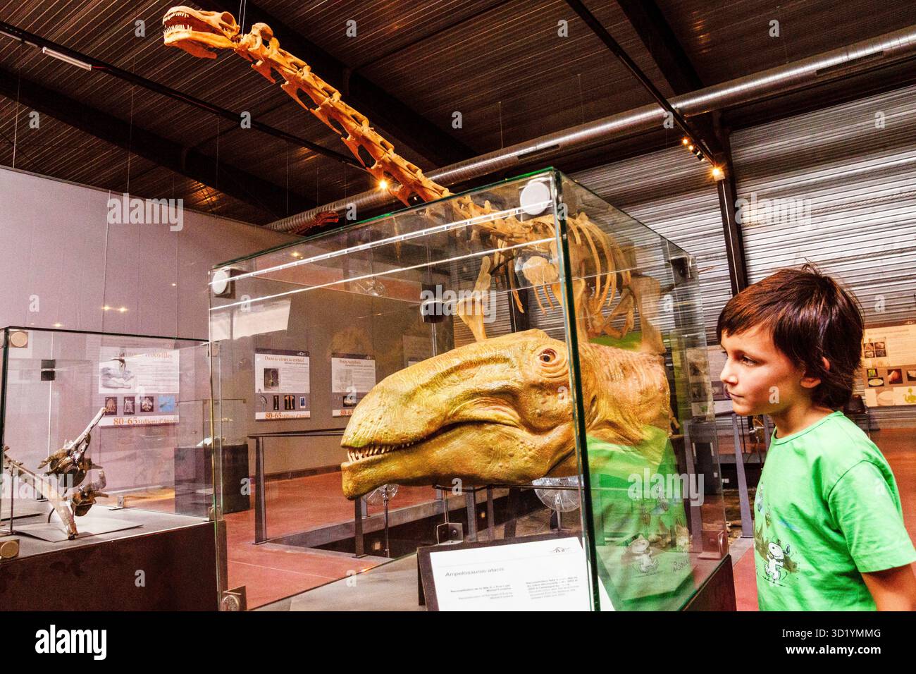 Ampelosaurus atacis, 70 MJ vorher, Dinosauria, Museum der Dinosaurier, Esperaza.department der Aude, Languedoc-Roussillon, ostern Stockfoto