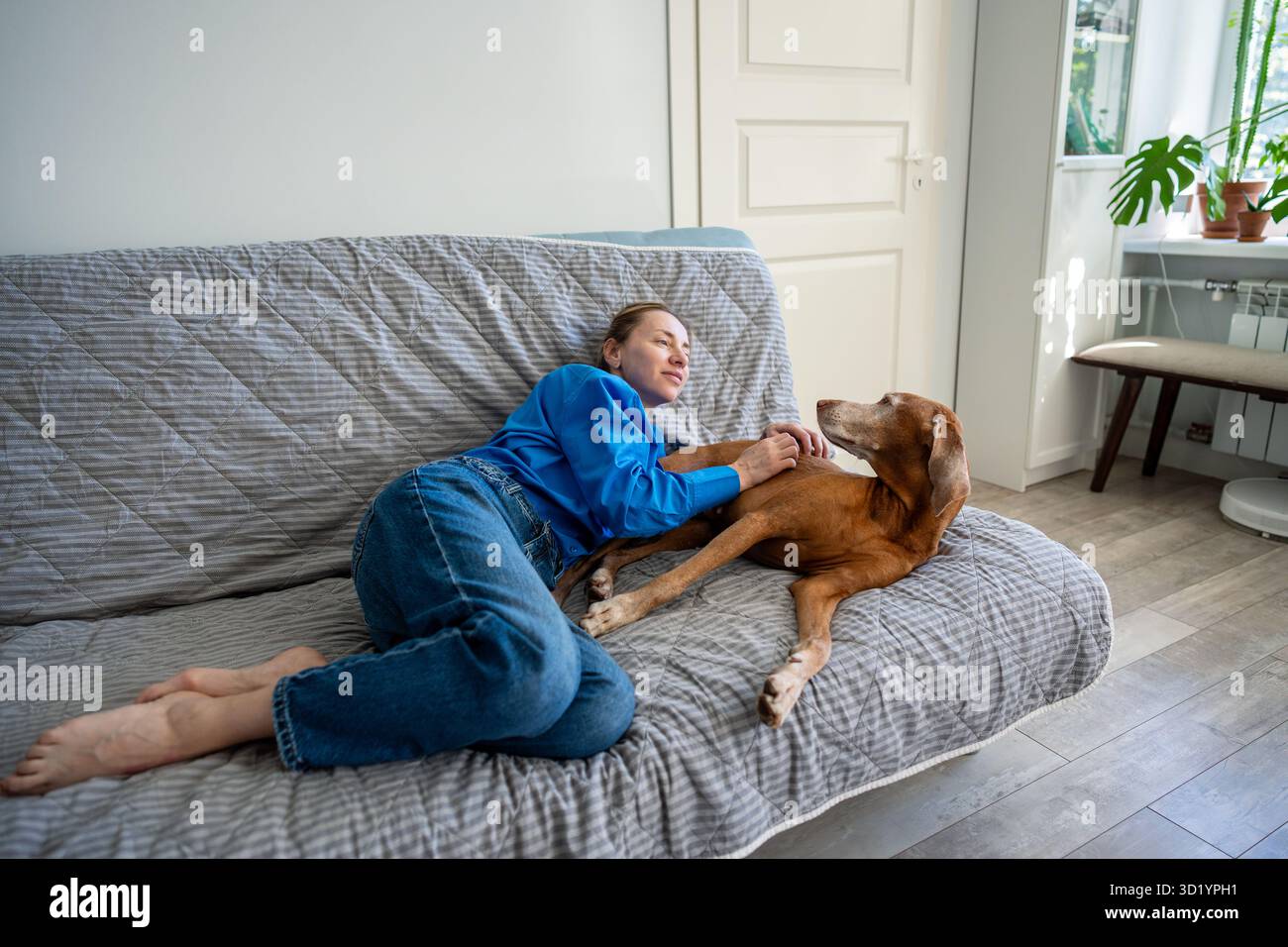 Eine Frau, die auf der Couch sitzt und zu Hause einen Hund umschließt. Entspanntes Wochenende, Komfort für Haustiere, Hundebindung Stockfoto