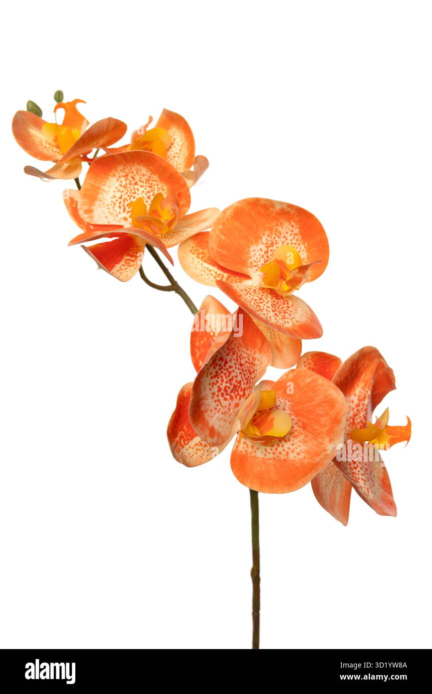 Leuchtend orangefarbene Orchideenblüten aus Silikon und Latex, elegant angeordnet in einem lebendigen Display Stockfoto