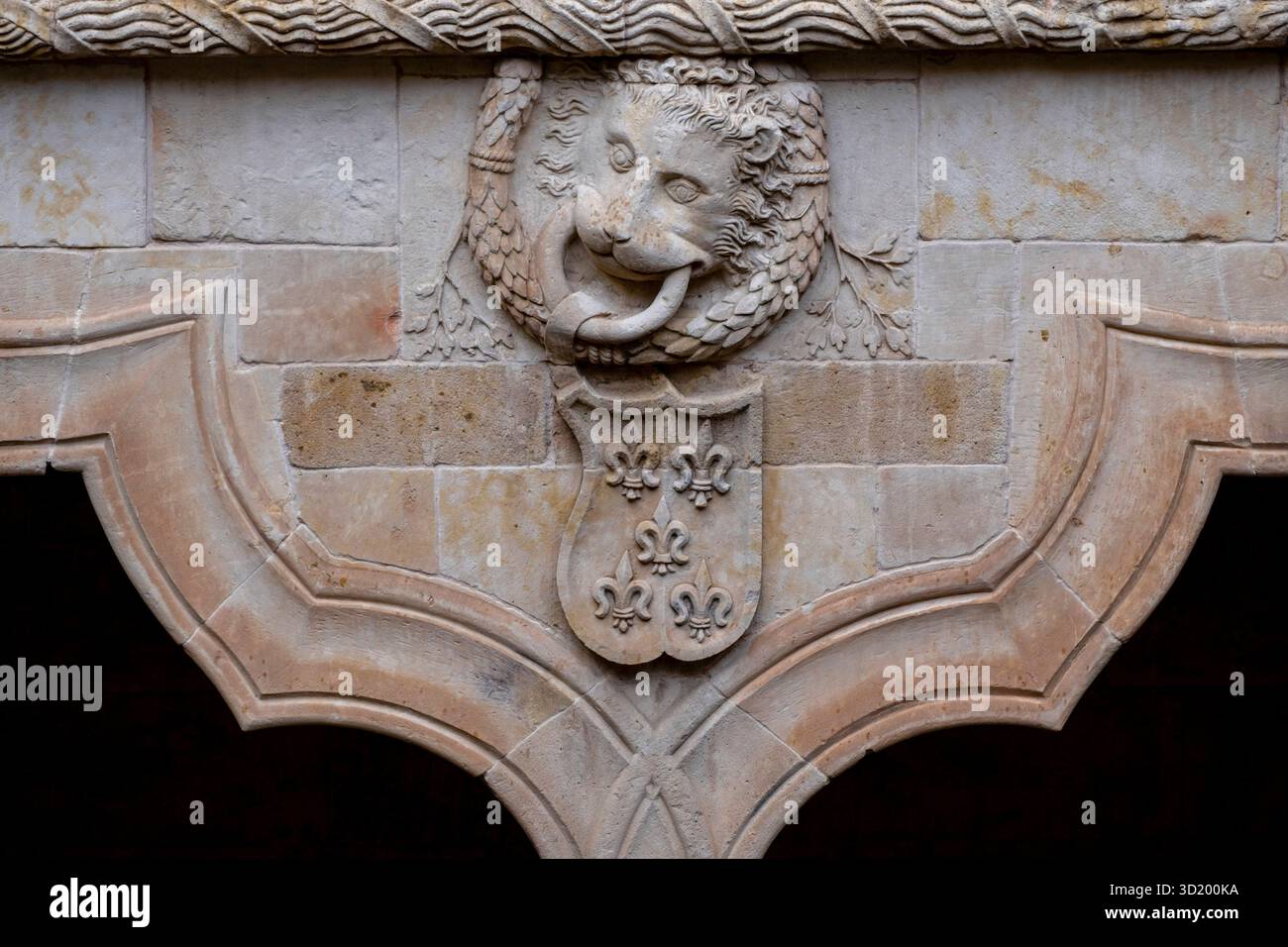 Innenhof des Hauses der Muscheln (Casa de las Conchas) Stockfoto