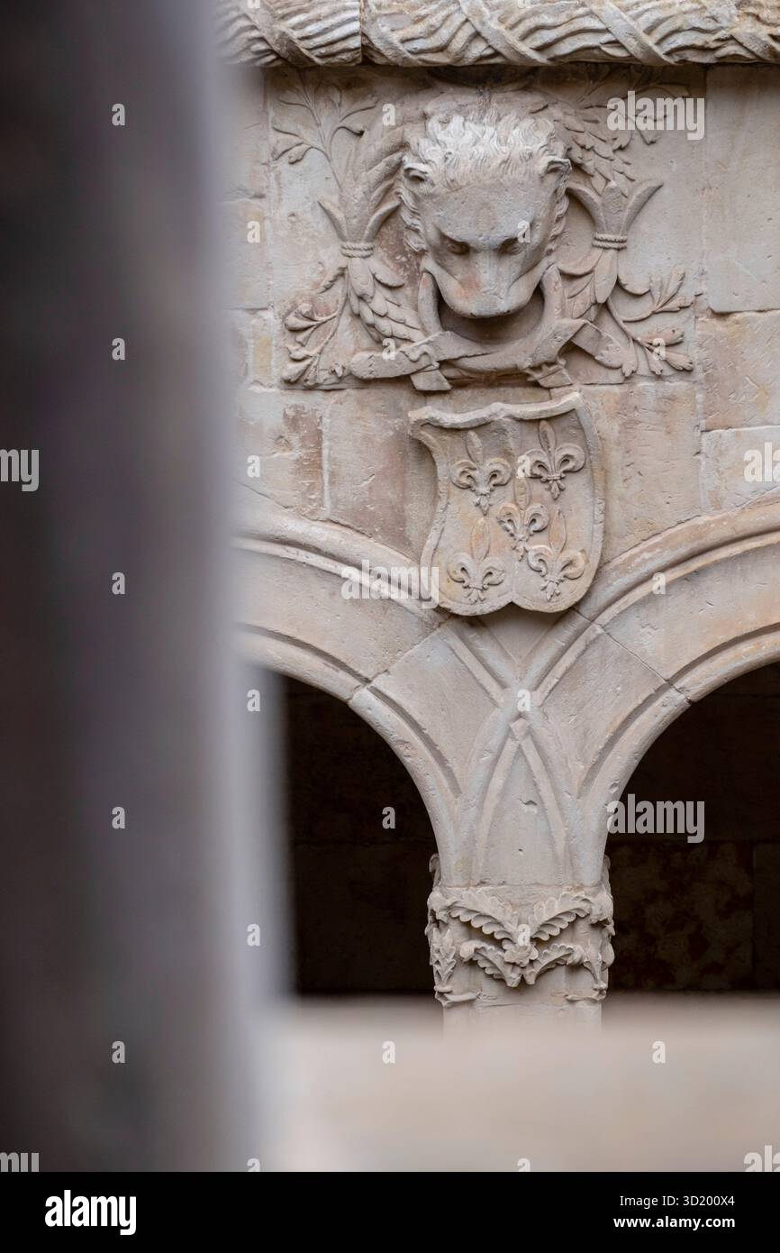 Innenhof des Hauses der Muscheln (Casa de las Conchas) Stockfoto