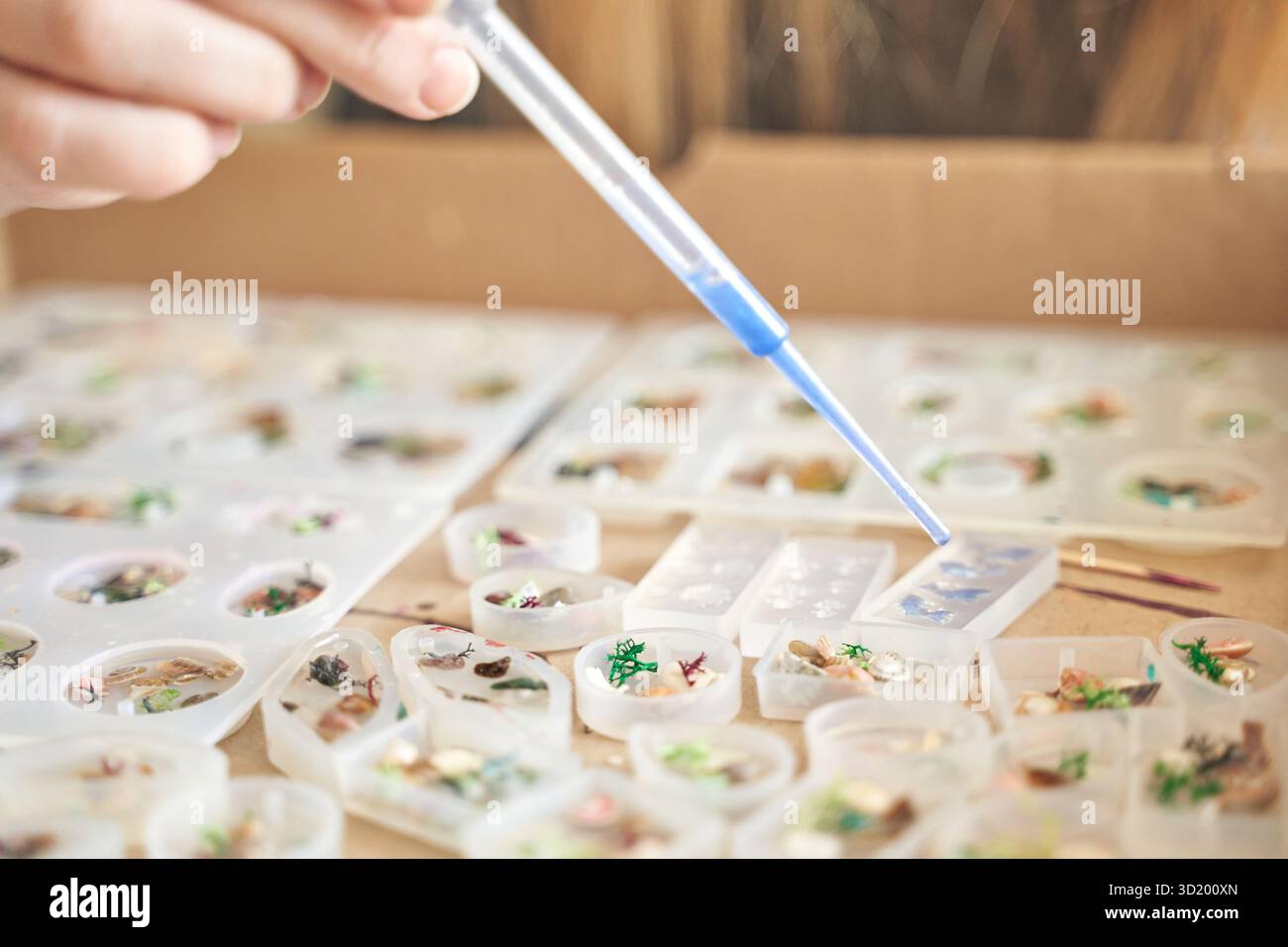 Mit Präzisionswerkzeugen und diversen Exemplaren von Insekten inspirierte Harzkunst Stockfoto