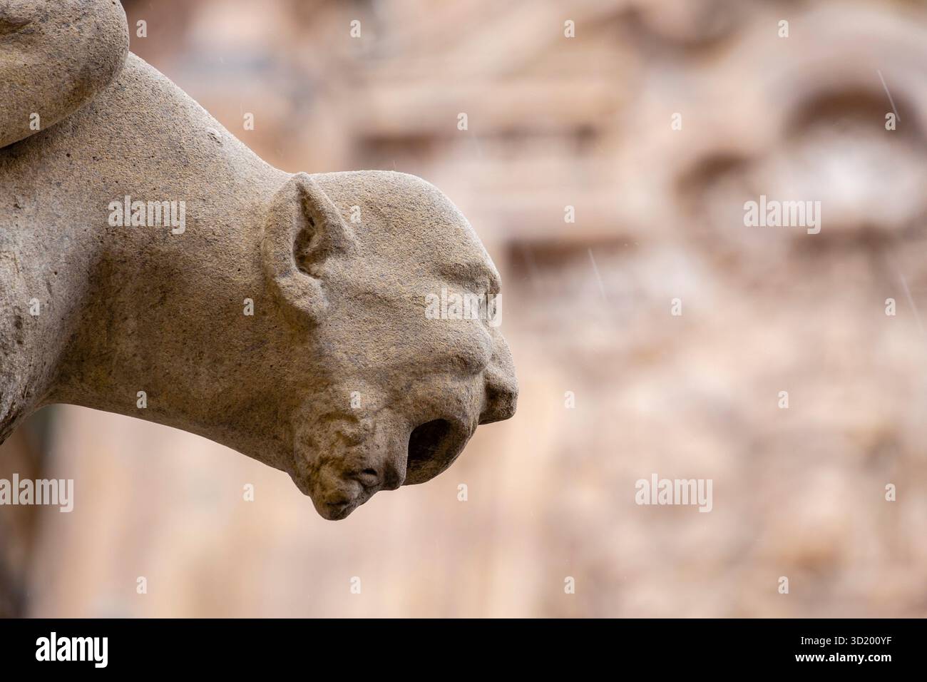 Innenhof des Hauses der Muscheln (Casa de las Conchas) Stockfoto