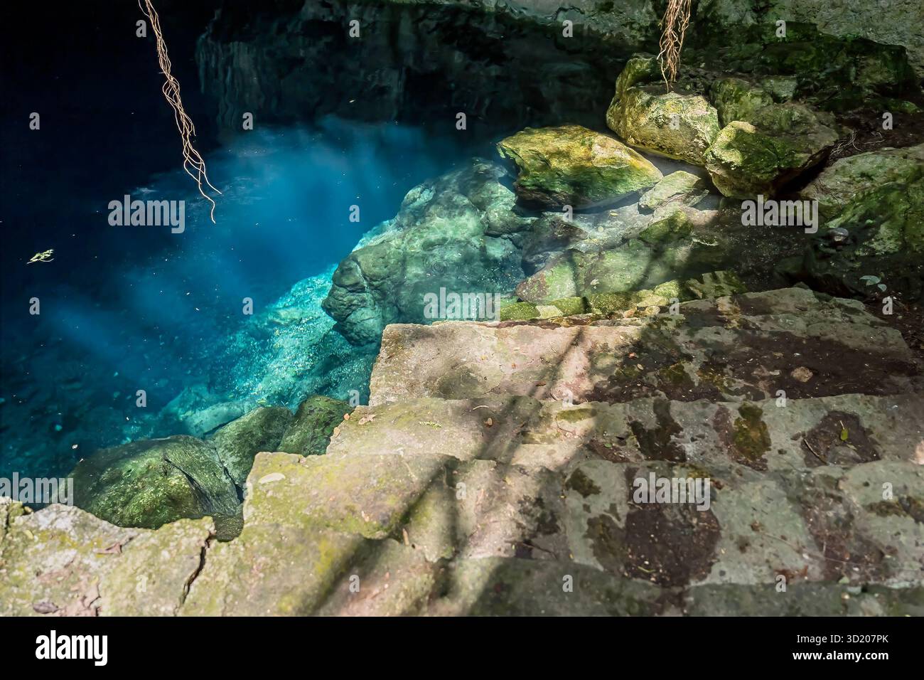 Blick auf Eine wunderschöne Cenote in der Nähe von Cuzama, Yucatan, Mexiko Stockfoto