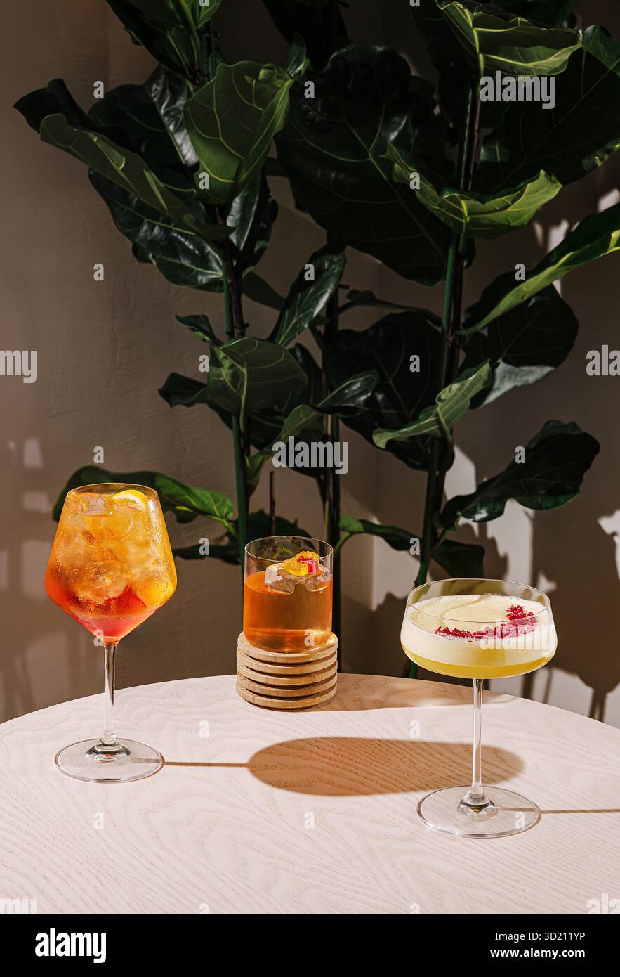 Farbenfrohe Cocktails werden auf einem Tisch mit einer üppigen grünen Pflanze in einem modernen Ambiente serviert Stockfoto