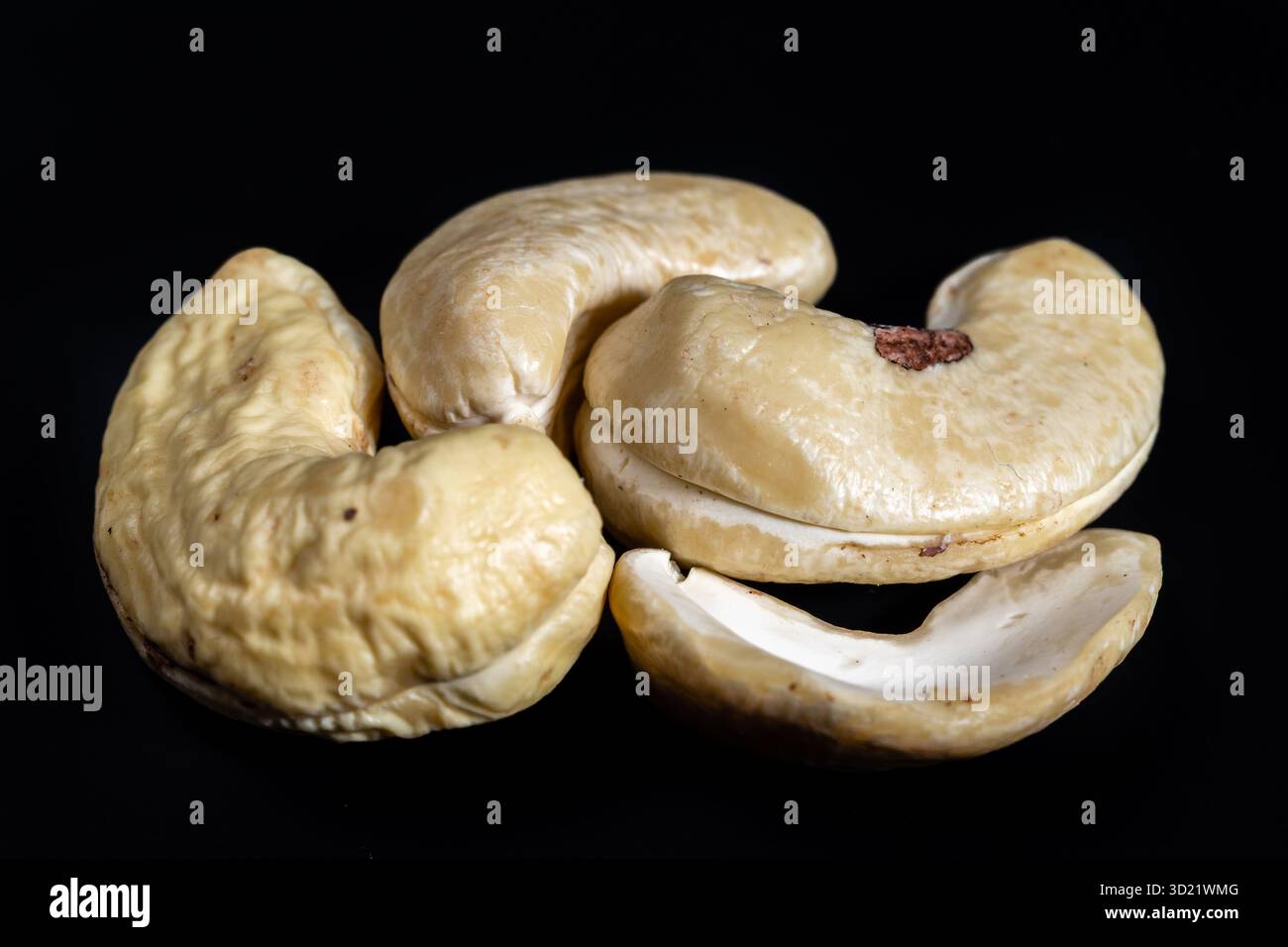 Cashewnuss isoliert auf schwarzem Hintergrund Stockfoto