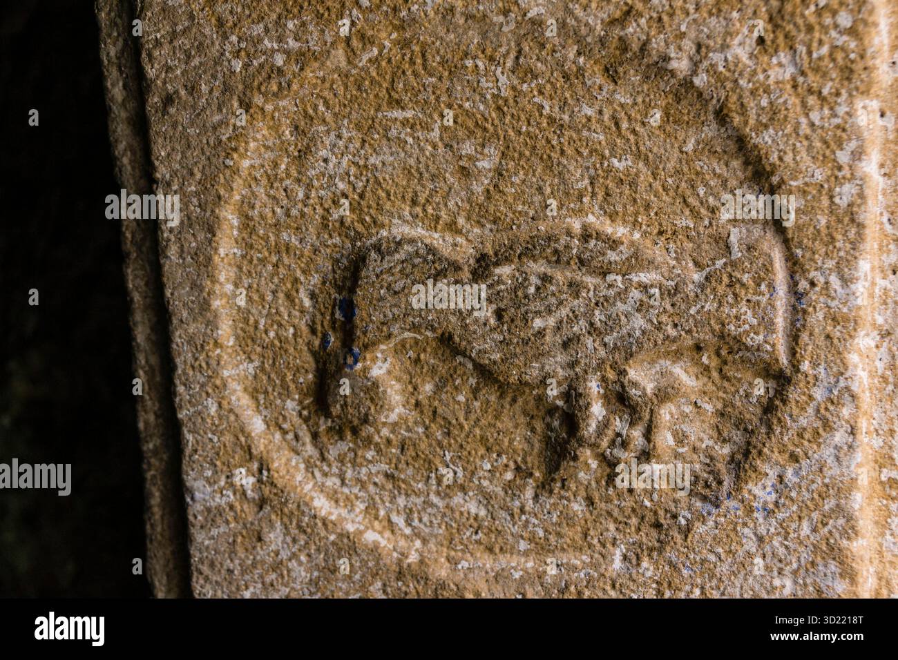 Romanisches Symbol, Eremitage unserer Lieben Frau von Pineta, Pineta Tal, Ordesa und Monte Perdido Nationalpark, Provinz Huesca, ARAG Stockfoto