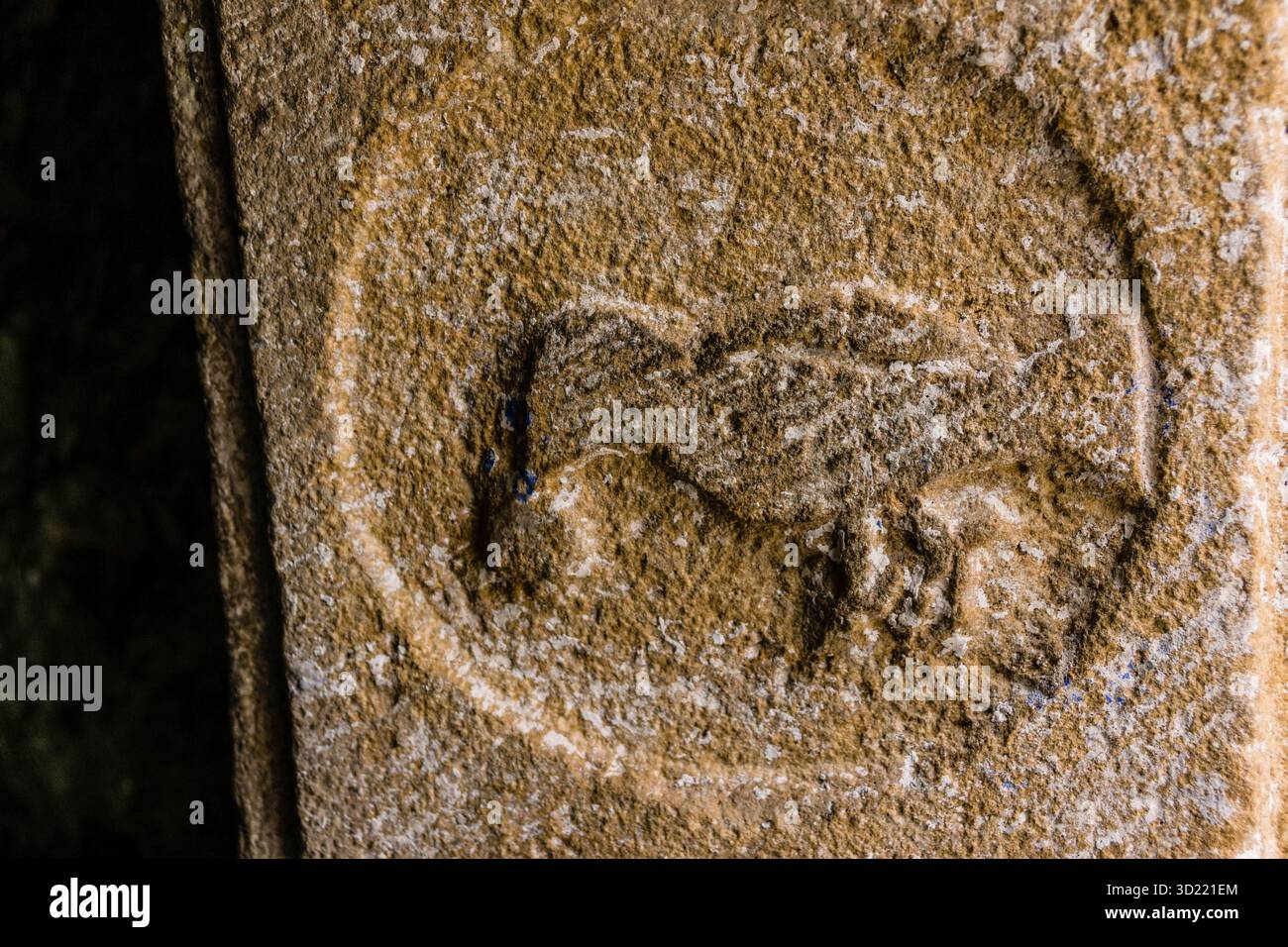 Romanisches Symbol, Eremitage unserer Lieben Frau von Pineta, Pineta Tal, Ordesa und Monte Perdido Nationalpark, Provinz Huesca, ARAG Stockfoto