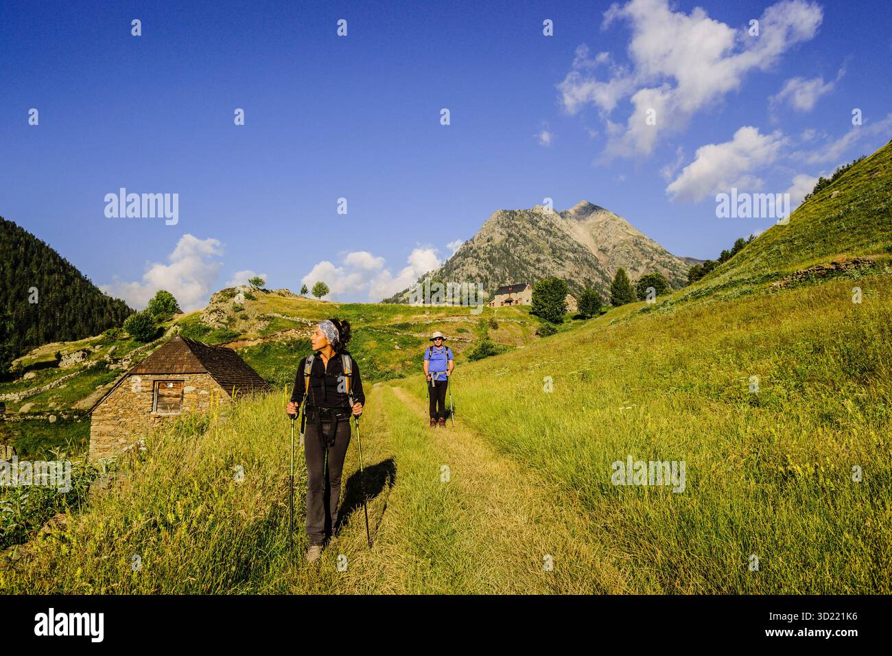 Viadós Farmen, Gistaín-Tal, Aragonesische Pyrenäen, Huesca, Spanien. Stockfoto