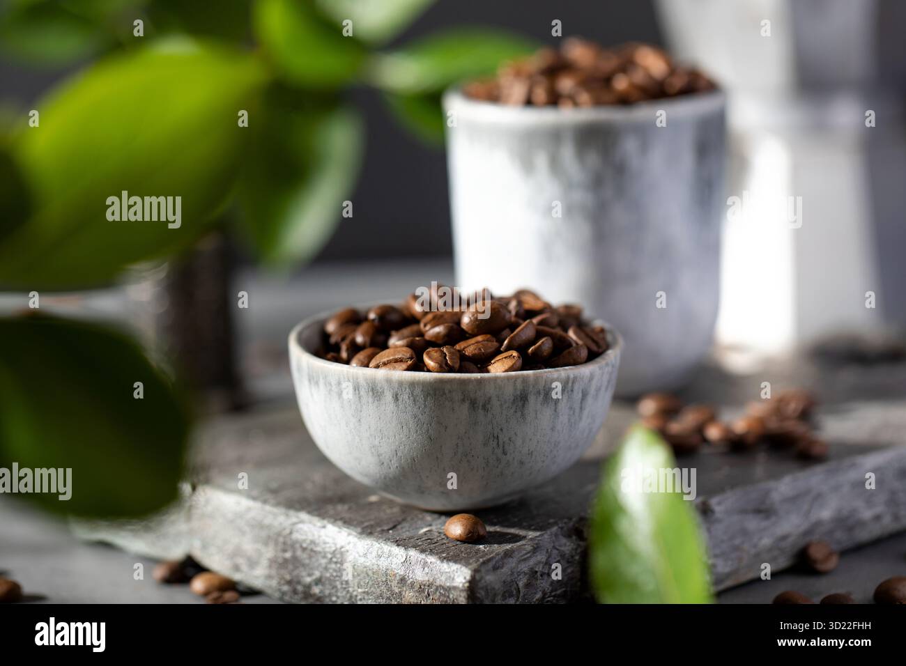 Eine Handvoll gerösteter Kaffeebohnen in Minsk auf grauem Hintergrund. Stockfoto