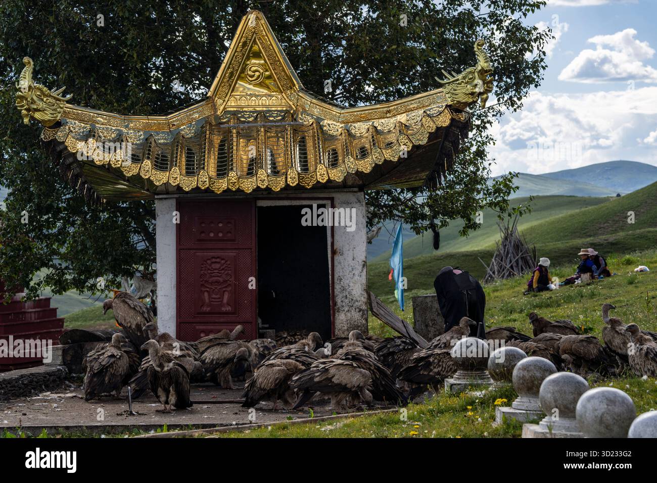 Himmelsbegräbnis, Rogyapa füttert die Leiche eines Verstorbenen an Geier für ihre Rückkehr in die Wildnis, Tagong (Lhagang), Garzê tib Stockfoto