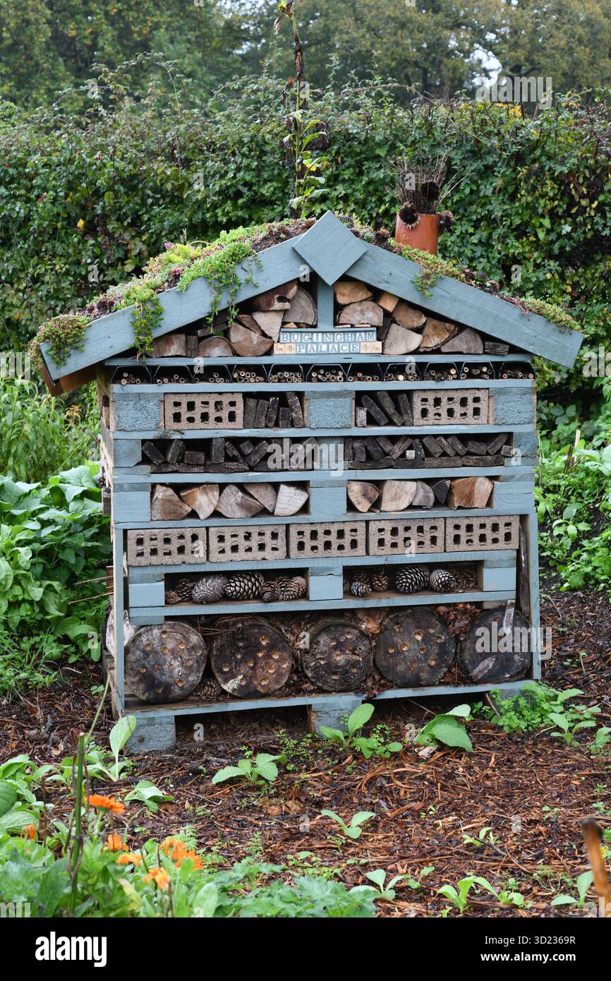 Bughotel auf dem Grundstück Stockfoto