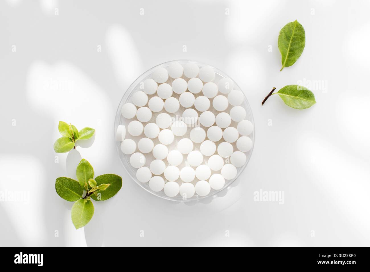 Weiße runde Tabletten mit natürlicher Zusammensetzung. Tabletten, Mineralstoffe und Vitamine. Stockfoto
