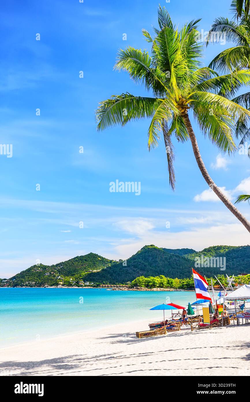 Ein sonniger Tag am wunderschönen Chaweng Beach mit weißem Sand, Kokospalmen und türkisfarbenem Wasser in Koh Samui, Thailand. Sommer-Strandkonzept. Vertikal Stockfoto
